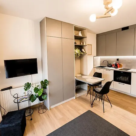 Apartia Boutique & Parking * Brno